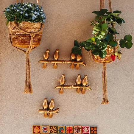 Bed & Breakfast Roby's Boutique - Luxury