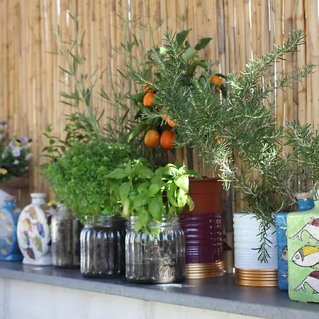 Bed & Breakfast Roby's Boutique - Luxury